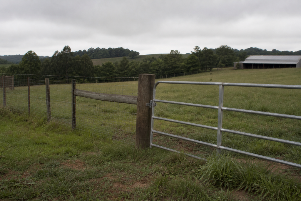 Agricultural wire fence and galvanized access gate on pasture land